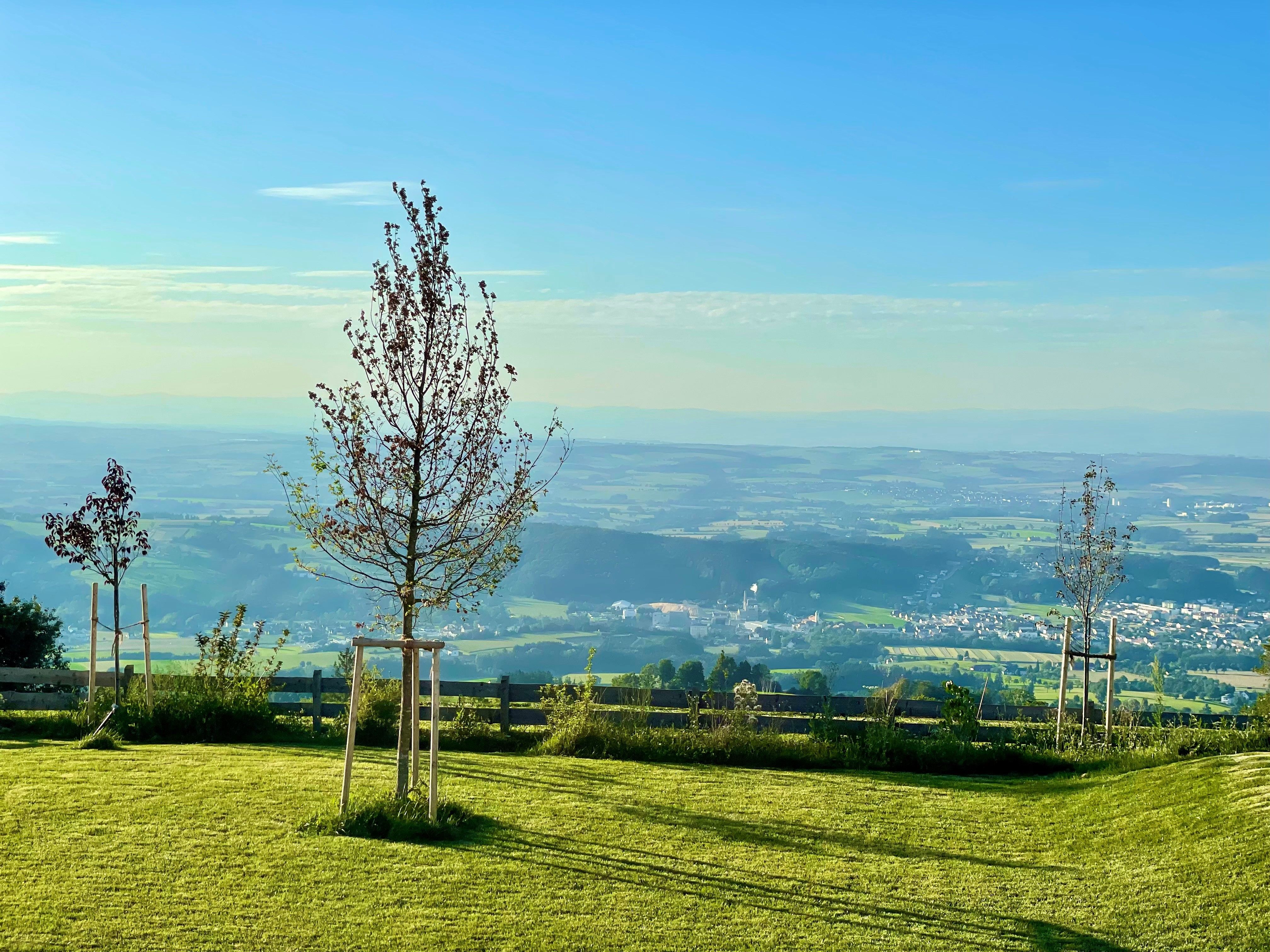 Ausblick vom Gut Herzogberg