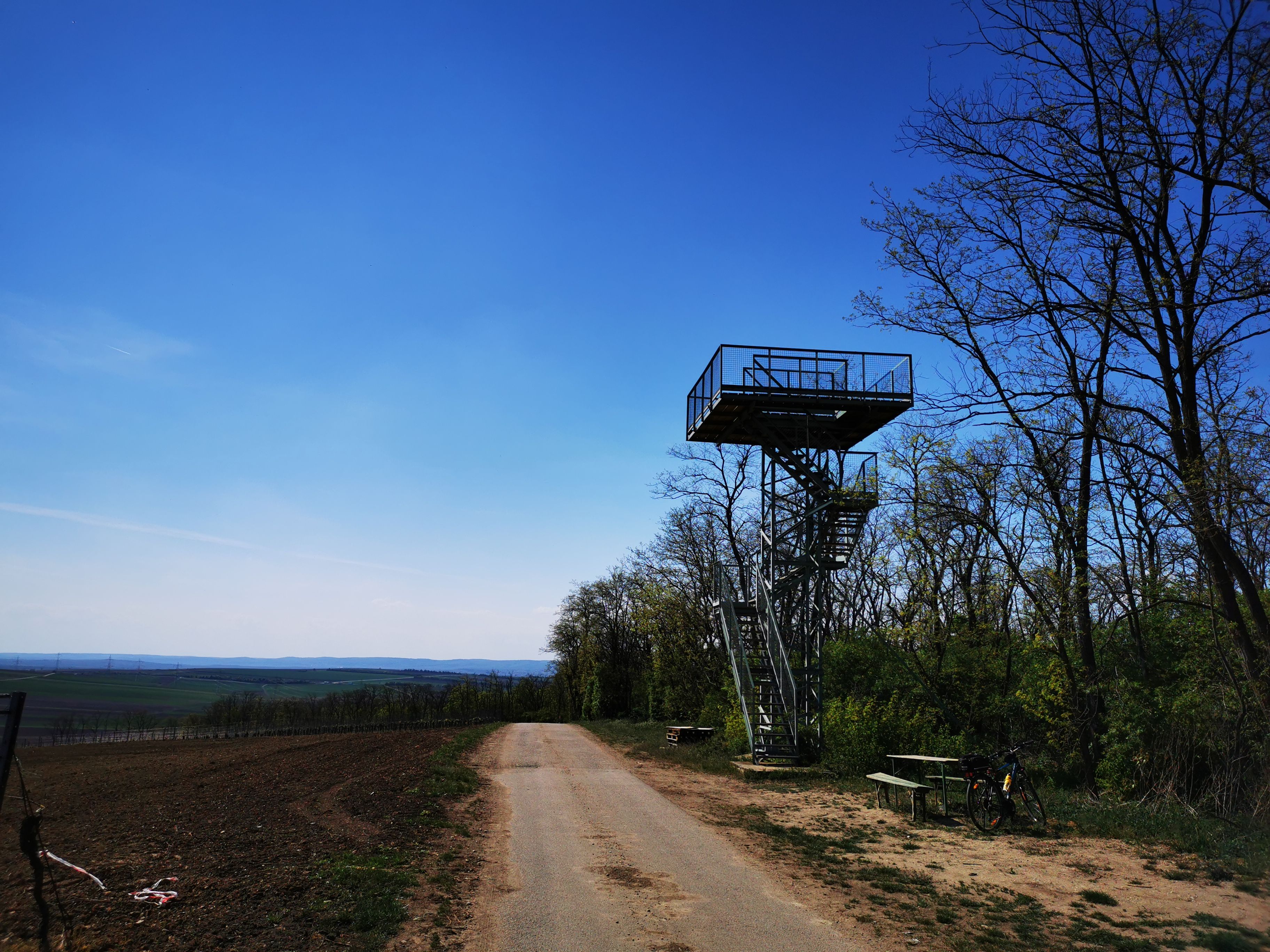 Aussichtsturm Heidbergwarte in Alberndorf neben einem Weg mit Bäumen und einem Fahrrad.