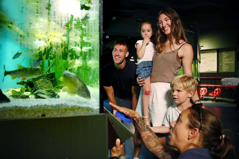 Eine Familie betrachtet ein Aquarium mit Fischen in einem Museum.