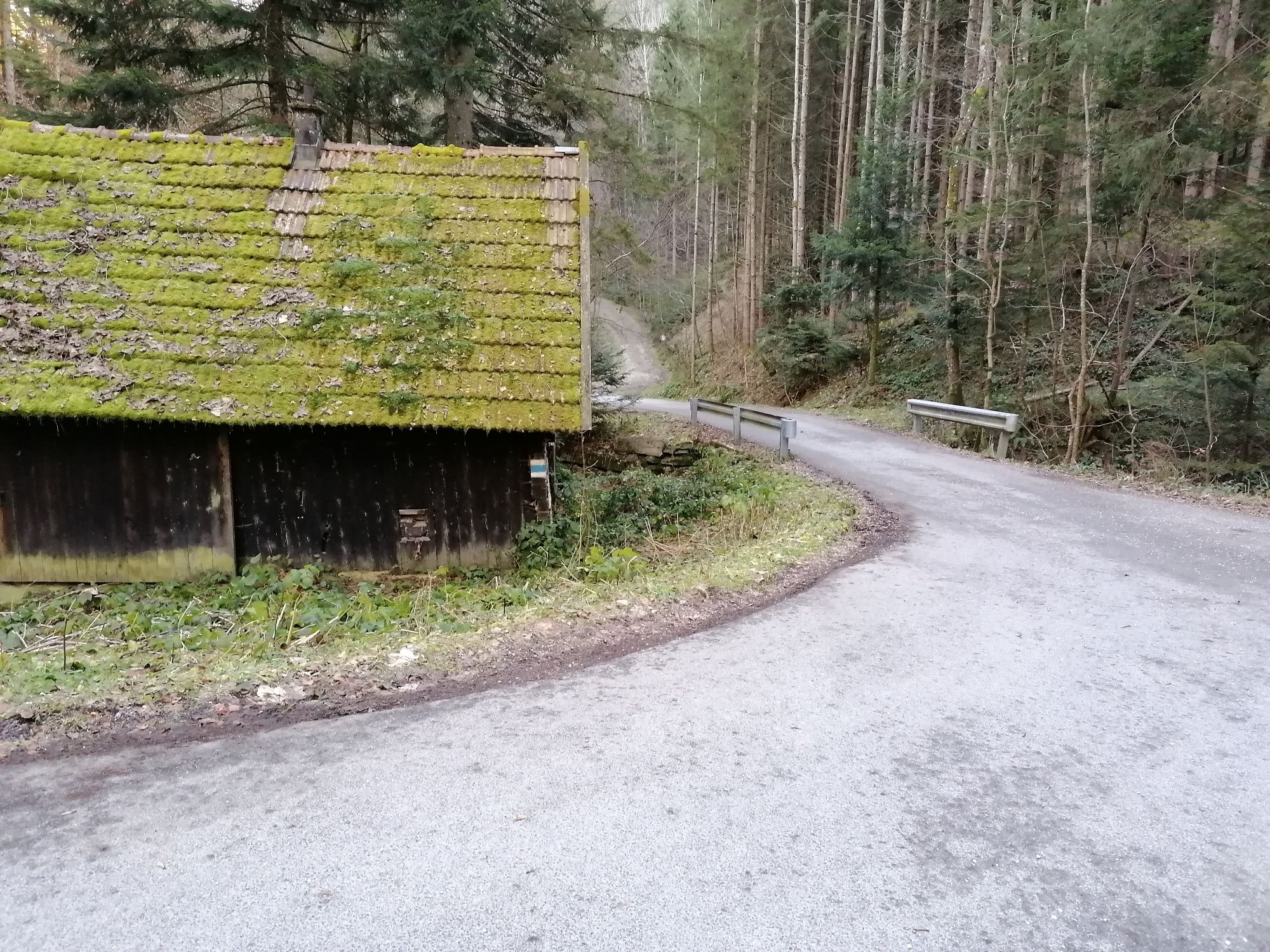 Mooshaus