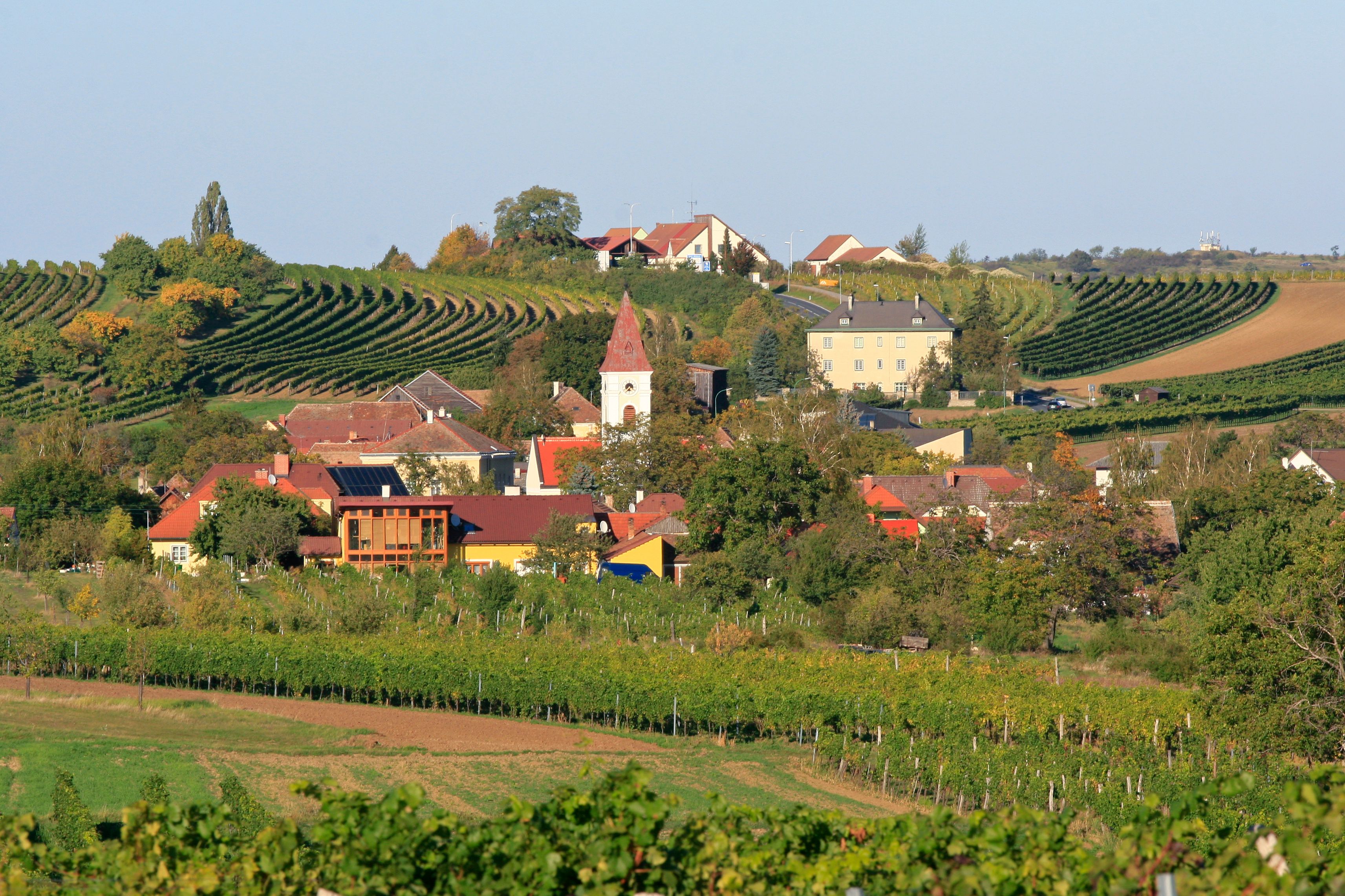 Blick auf das Dorf Mitterretzbach mit Weinbergen im Hintergrund.