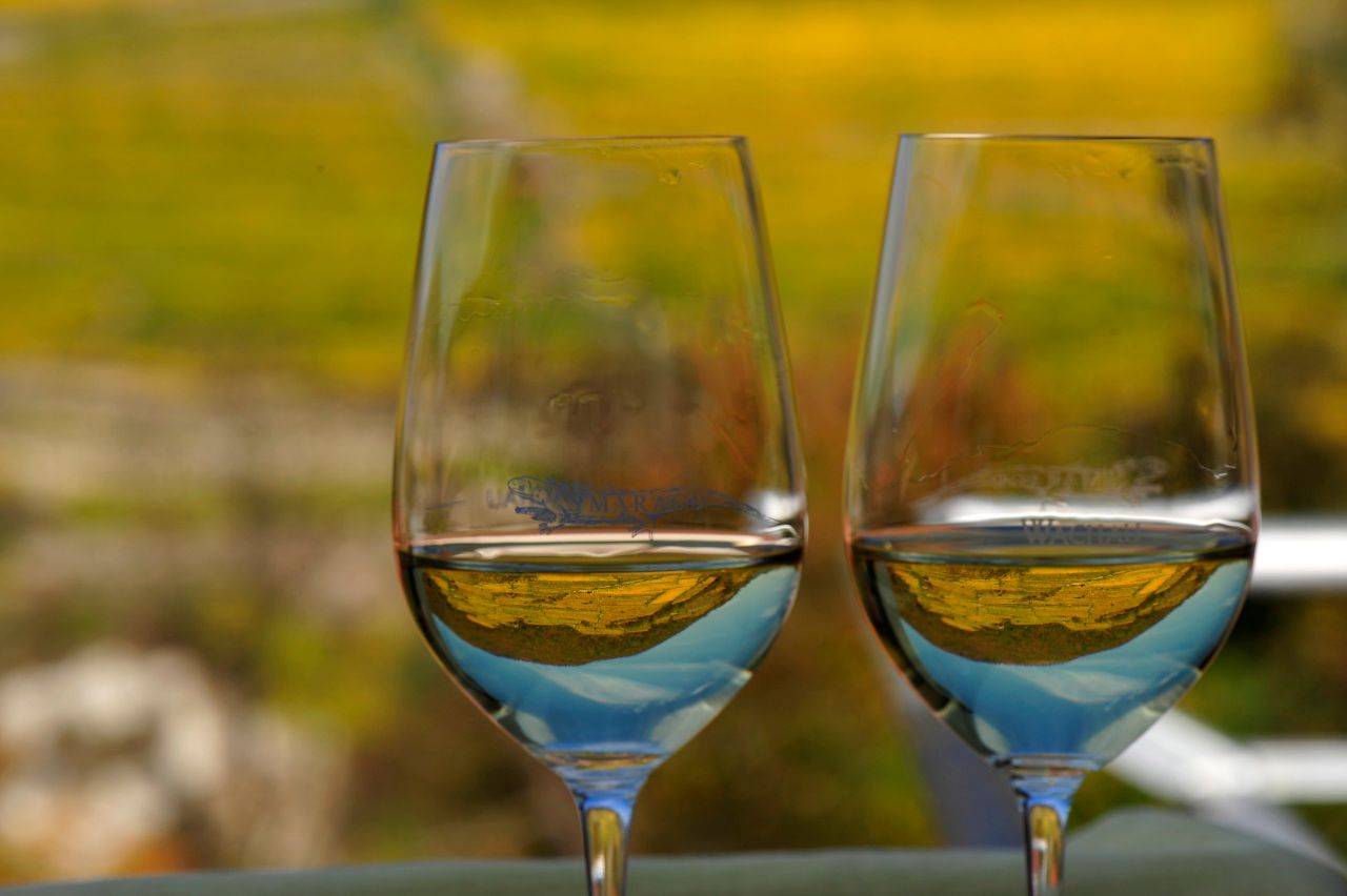 Zwei Weingläser mit Weißwein vor verschwommenem Hintergrund.