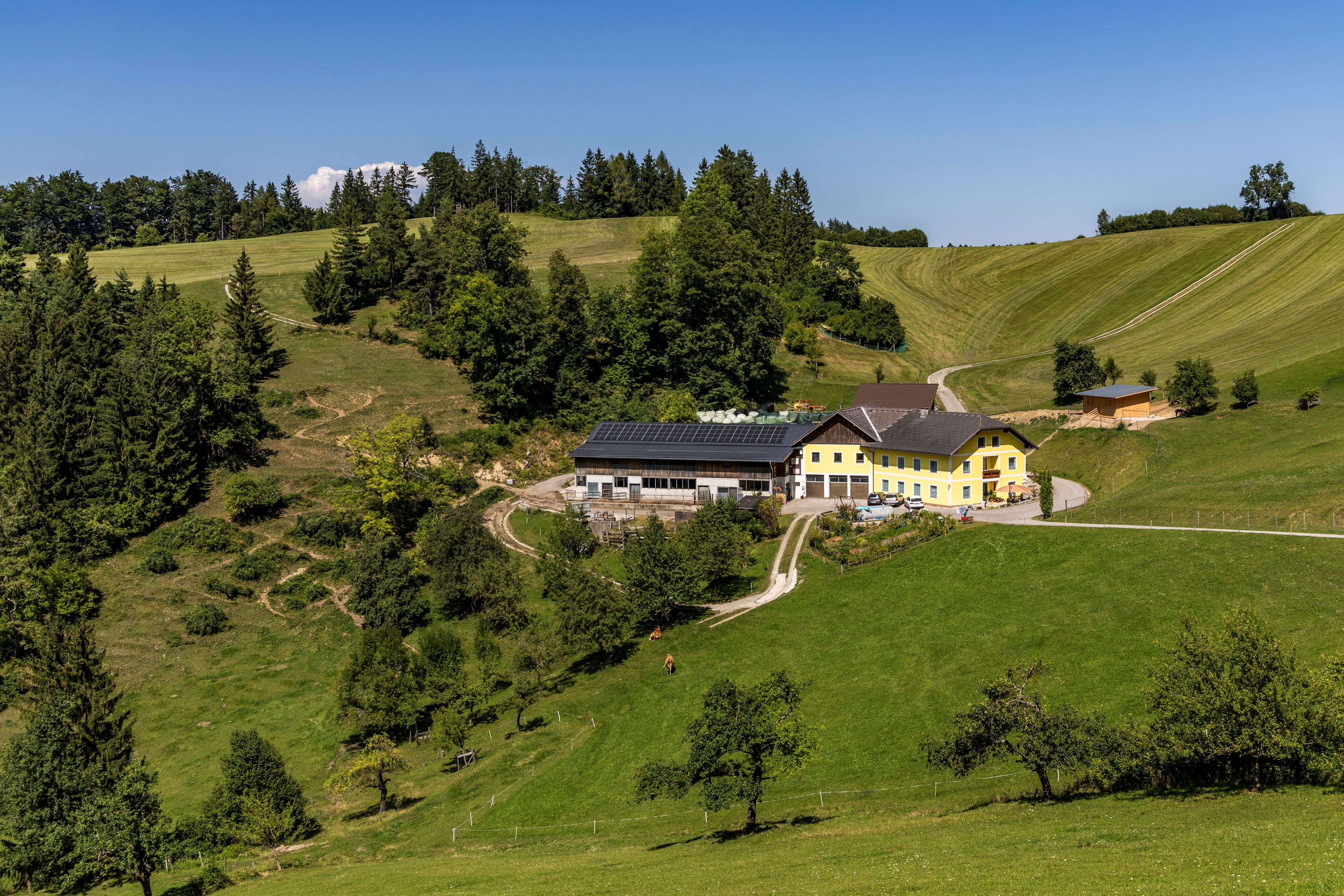 Biohof Schlangenreith