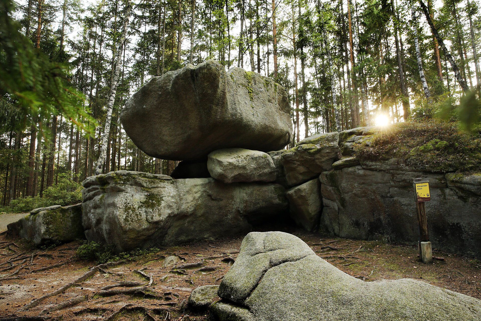 Im Herzen des Naturparks Heidenreichsteiner Moor erhebt sich eine beeindruckende Steinformation, die wie ein geheimnisvoller Wächter zwischen den Bäumen thront. Das sanfte Licht der untergehenden Sonne taucht die Szenerie in warmes Gold und lässt die moosbedeckten Felsen lebendig erscheinen. Hier, umgeben von der Ruhe des Waldes, spürt man die Kraft der Natur und die Magie des Augenblicks.