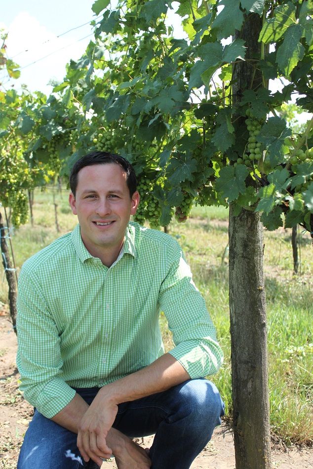 Mann in grünem Hemd kniet in einem Weinberg neben Reben.