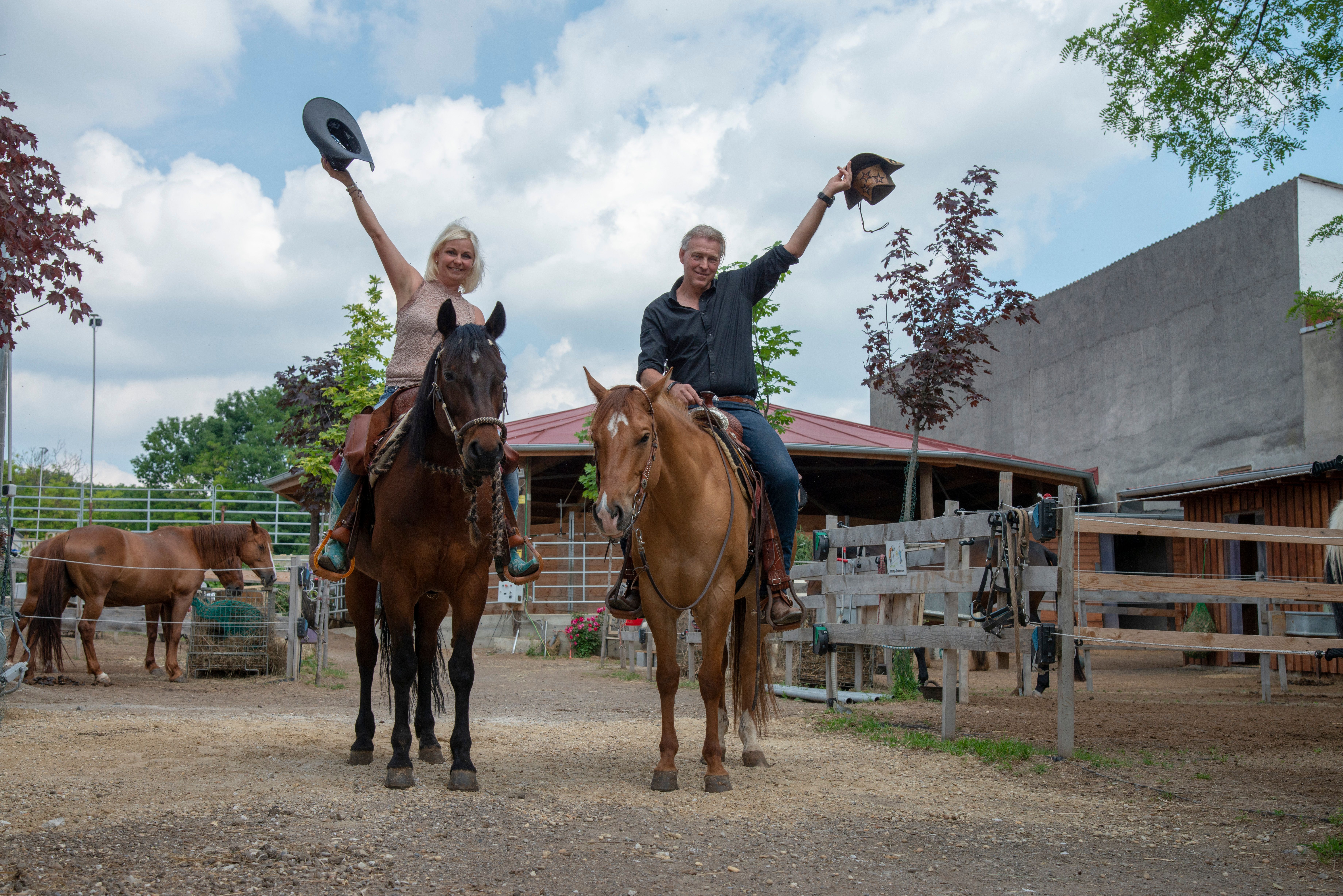 Hippo Campus, Reiter