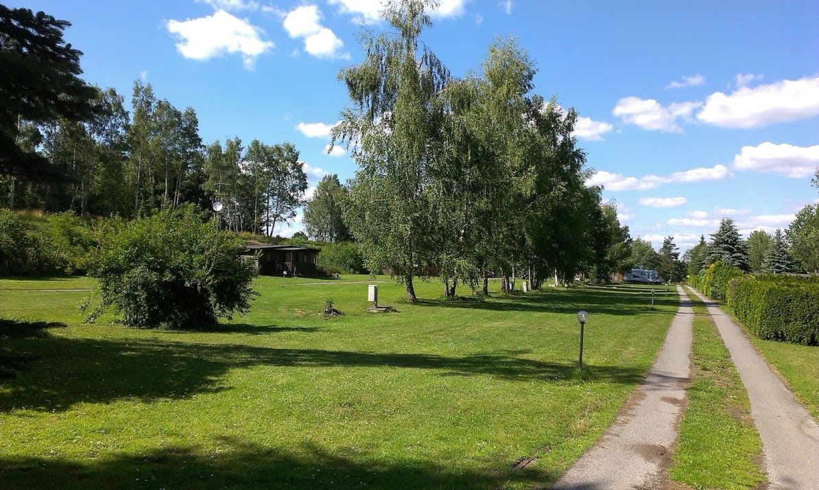 Grüne Wiese mit Bäumen und einem schmalen Weg unter blauem Himmel.