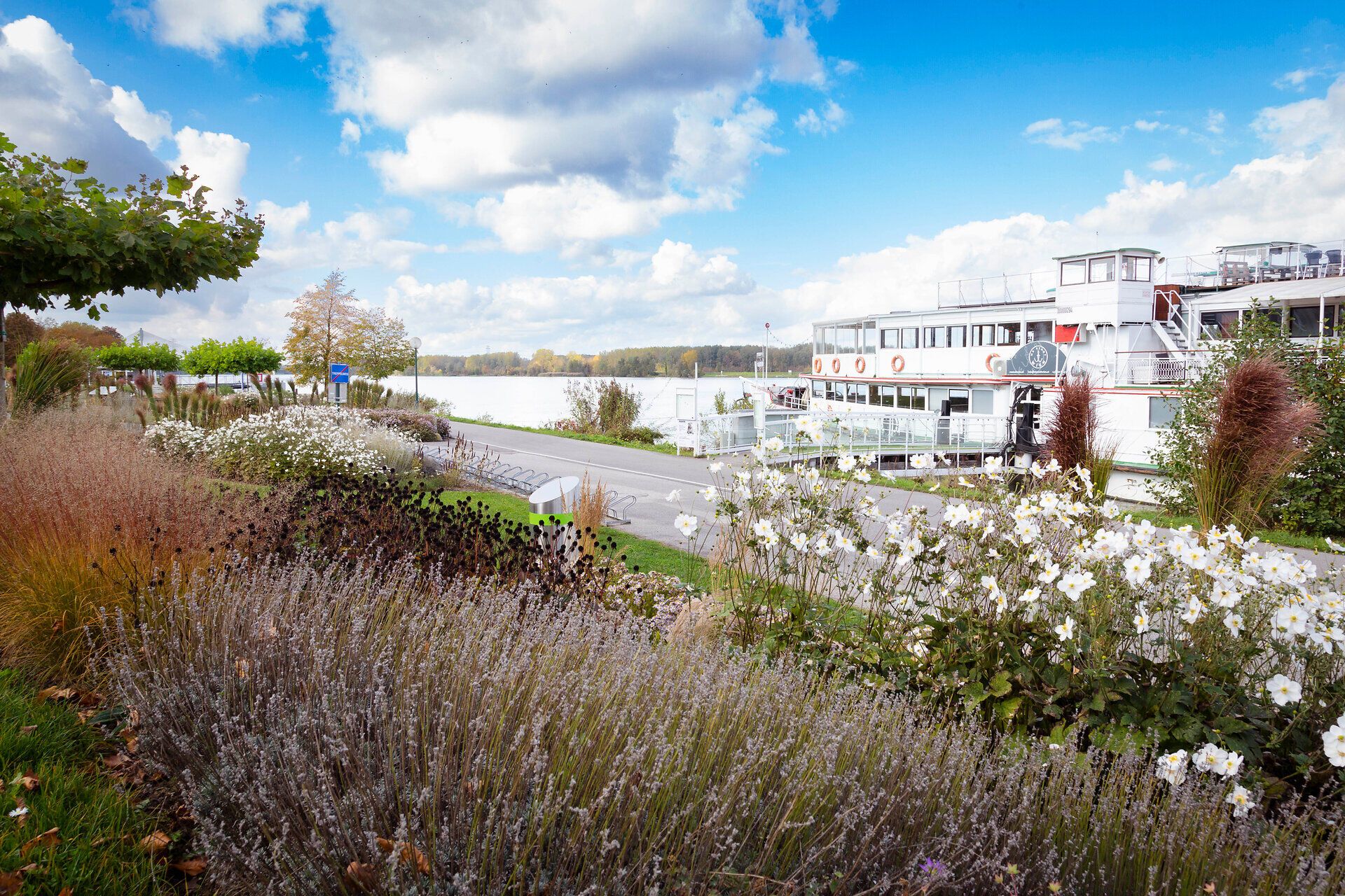Die sanften Wellen der Donau spiegeln die herbstlichen Farben der Natur wider, während die blühenden Pflanzen am Ufer eine einladende Atmosphäre schaffen. Ein Spaziergang entlang der Uferpromenade verspricht entspannende Momente und atemberaubende Ausblicke auf die malerische Landschaft.