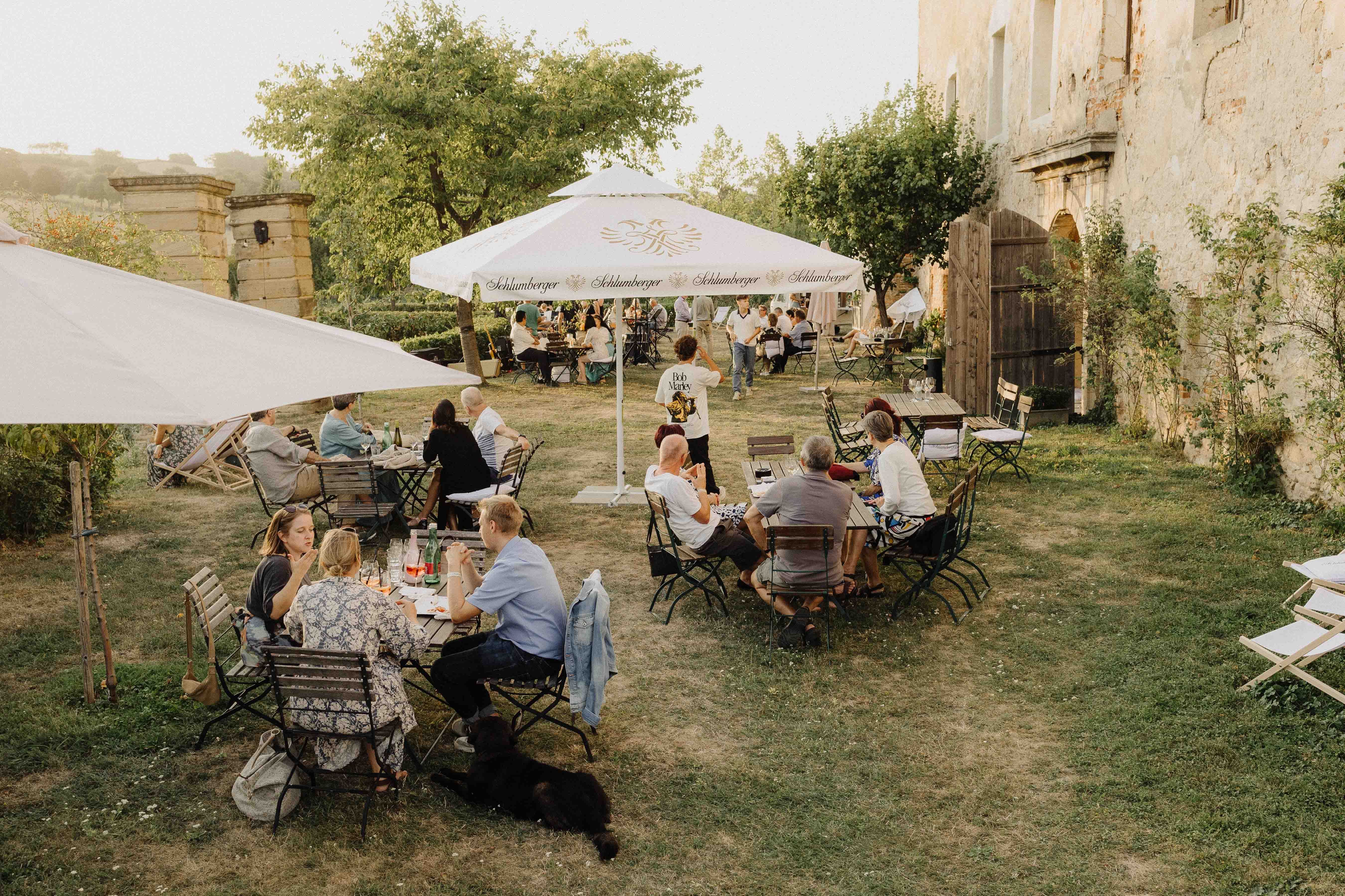 Menschen sitzen an Tischen im Freien in einem Garten mit Sonnenschirmen.