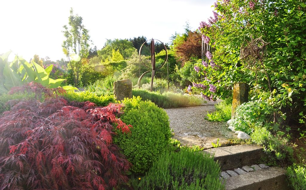 Ein sonniger Garten mit bunten Pflanzen und einem Kiesweg.