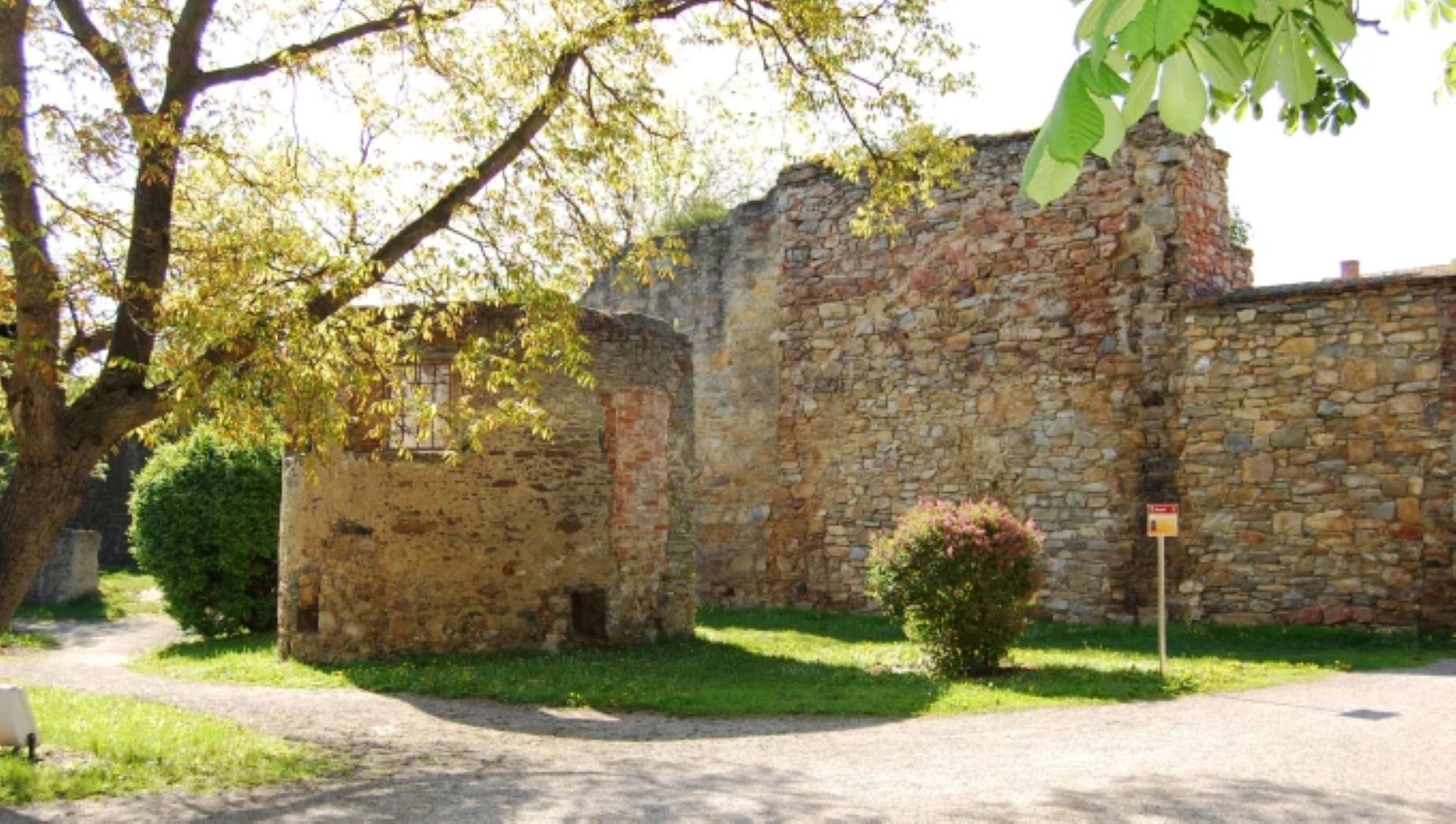 Alte Stadtmauer in Horn, umgeben von Bäumen und Grünflächen.
