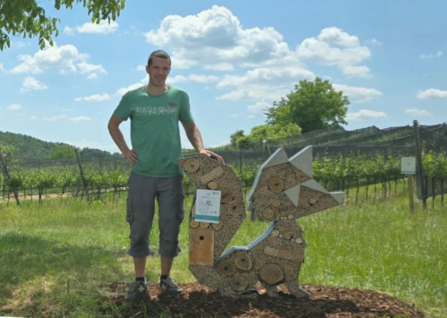 Weinbau Manuel Fuchs