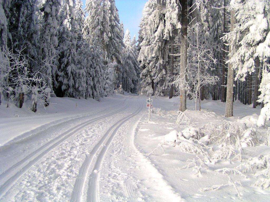Langlaufen in Ottenschlag © Gemeinde Ottenschlag