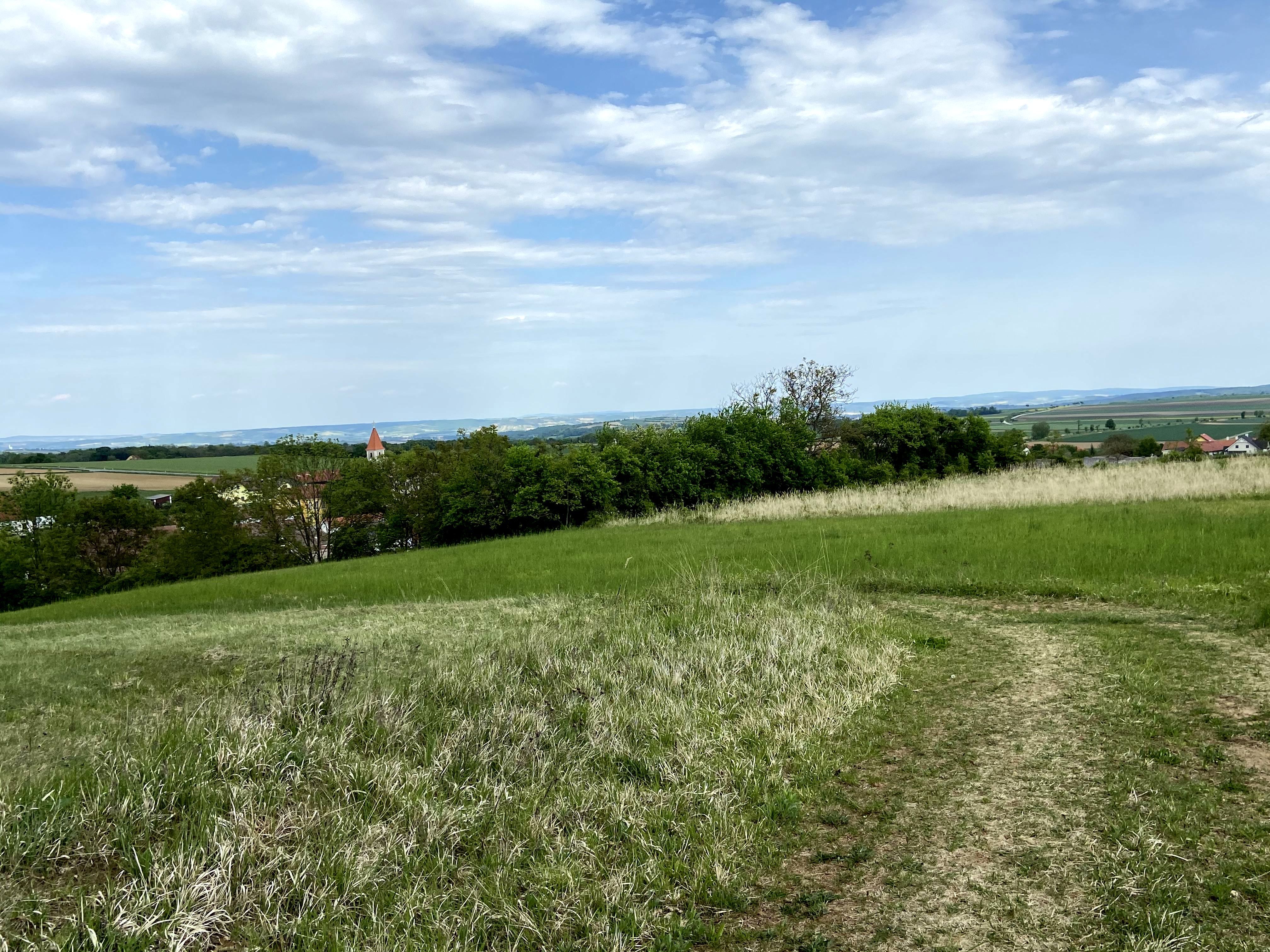 Landschaft mit grüner Wiese, Bäumen und einem Kirchturm im Hintergrund unter blauem Himmel.
