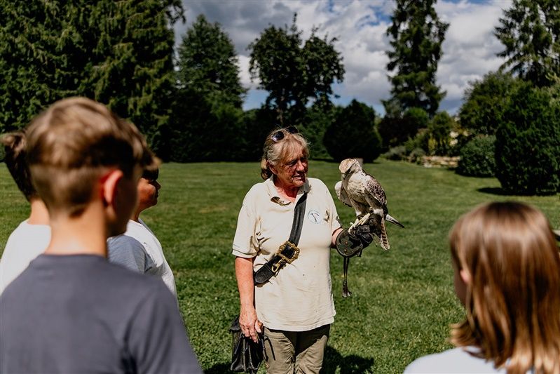 Ein Falkner zeigt einer Gruppe von Jugendlichen einen Greifvogel auf einer Wiese.