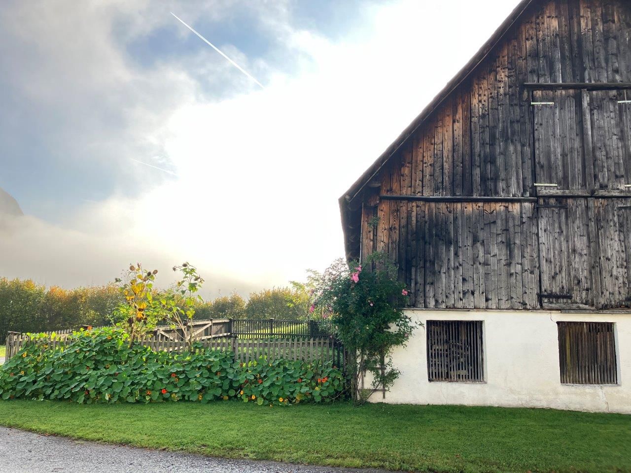 das-alte-bauernhaus-mit-bauerngarten