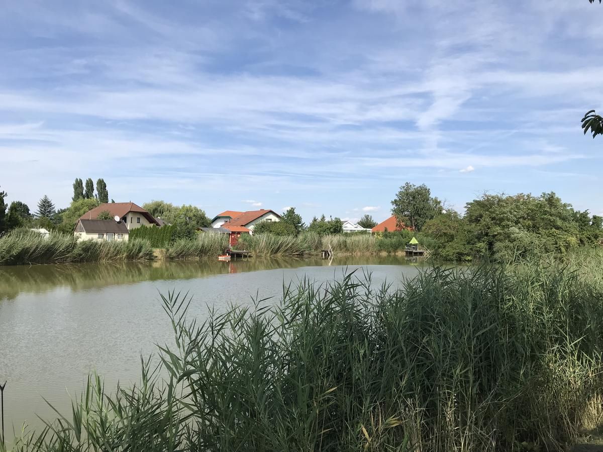 Ein ruhiger See mit Schilf im Vordergrund und Häusern im Hintergrund unter blauem Himmel.