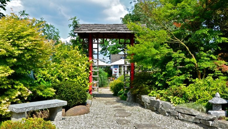Ein japanischer Garten mit einem roten Torii, umgeben von grünen Pflanzen und einem Kiesweg.