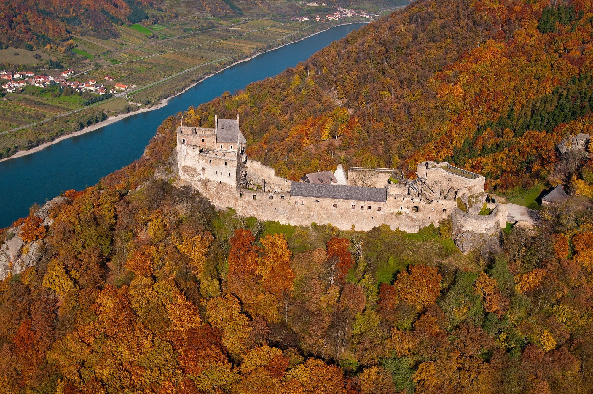 Luftaufnahme der Ruine Aggstein inmitten herbstlicher Wälder mit Blick auf die Donau.