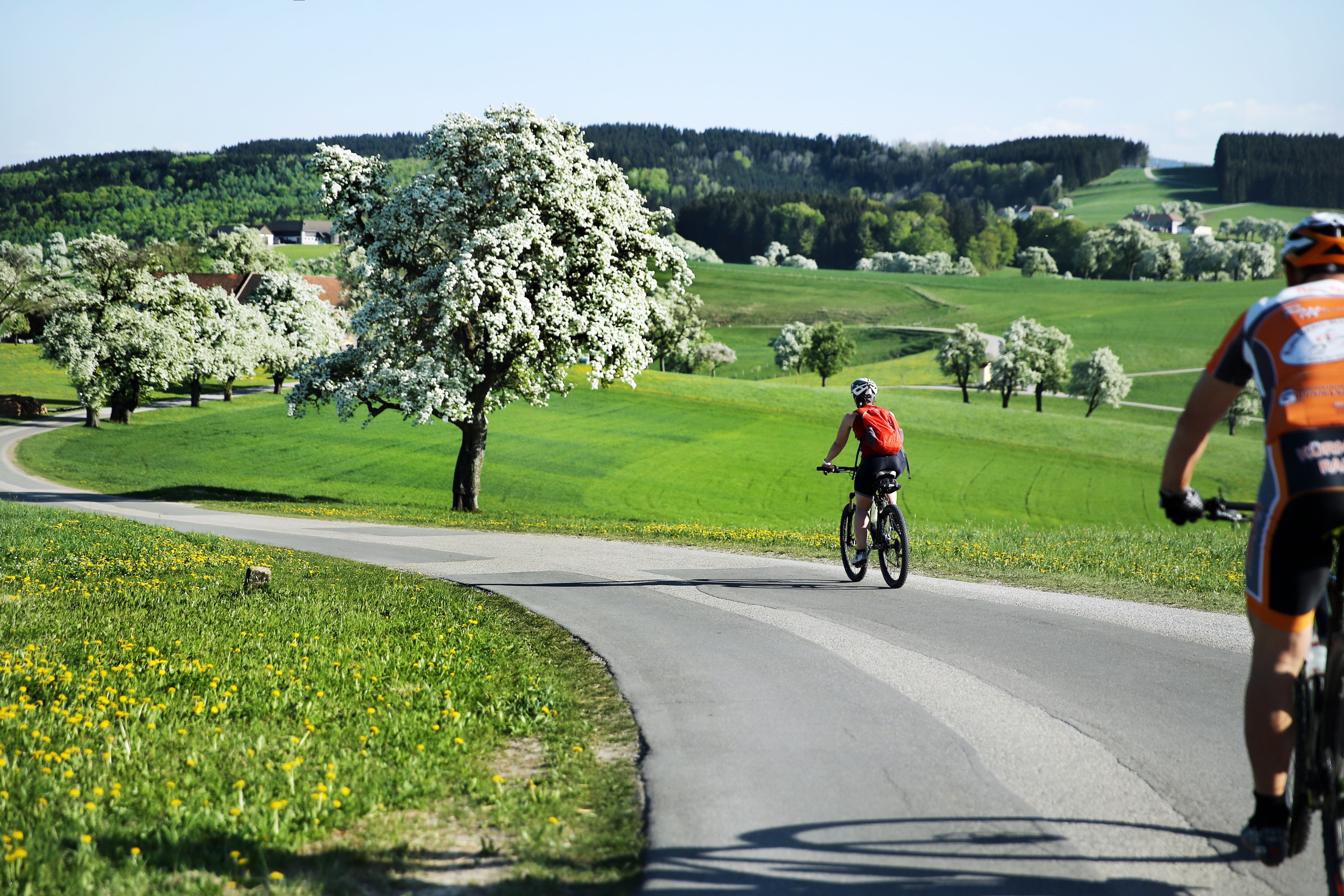 Kletzenbirn-Radroute