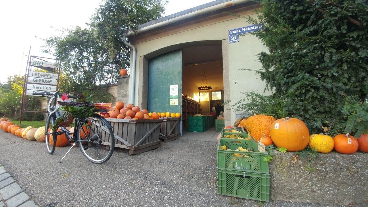 Eingang eines Biohofs mit Kürbissen und einem Fahrrad.