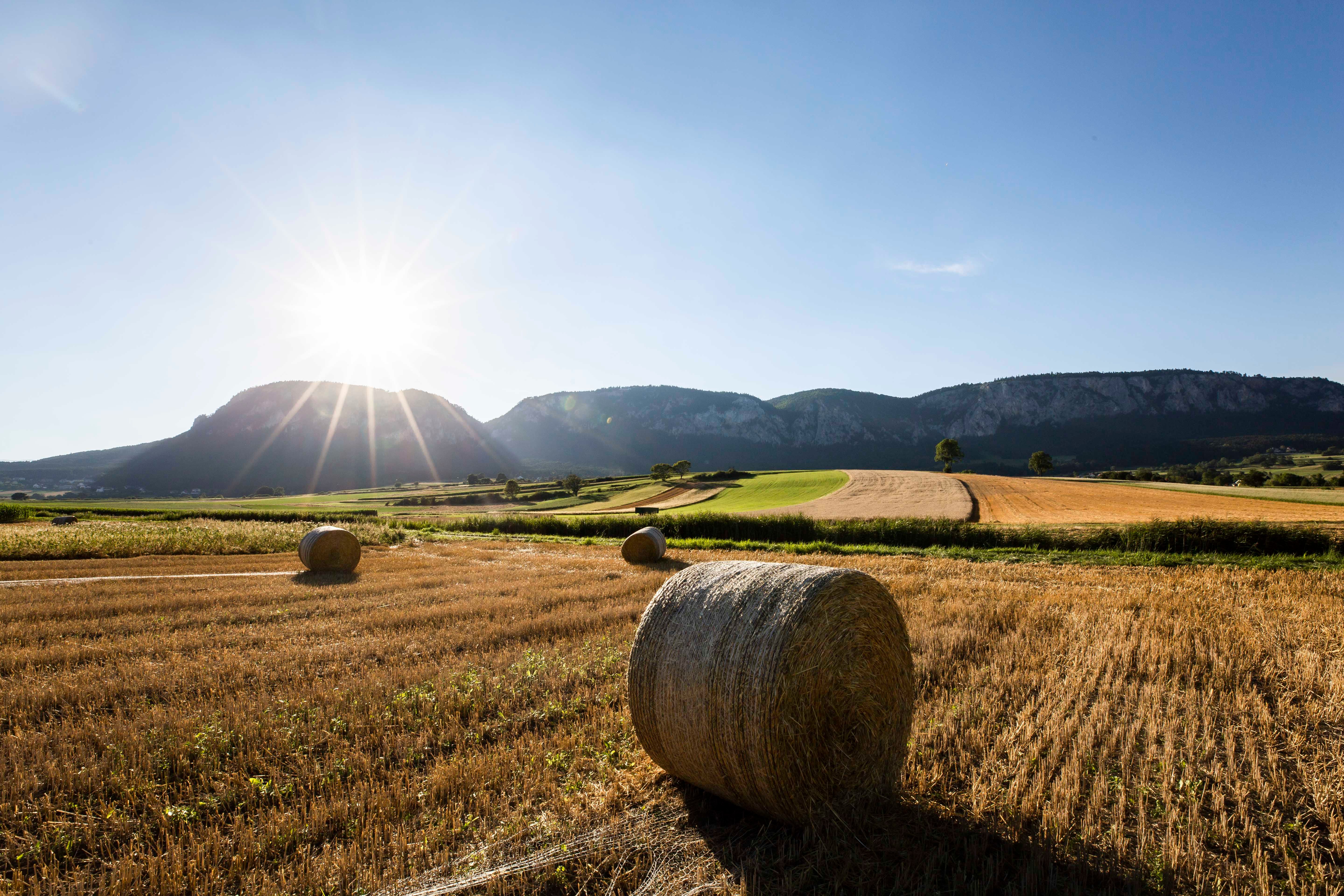 Landschaft mit Strohballen auf einem Feld, im Hintergrund Berge und die Sonne am Himmel.