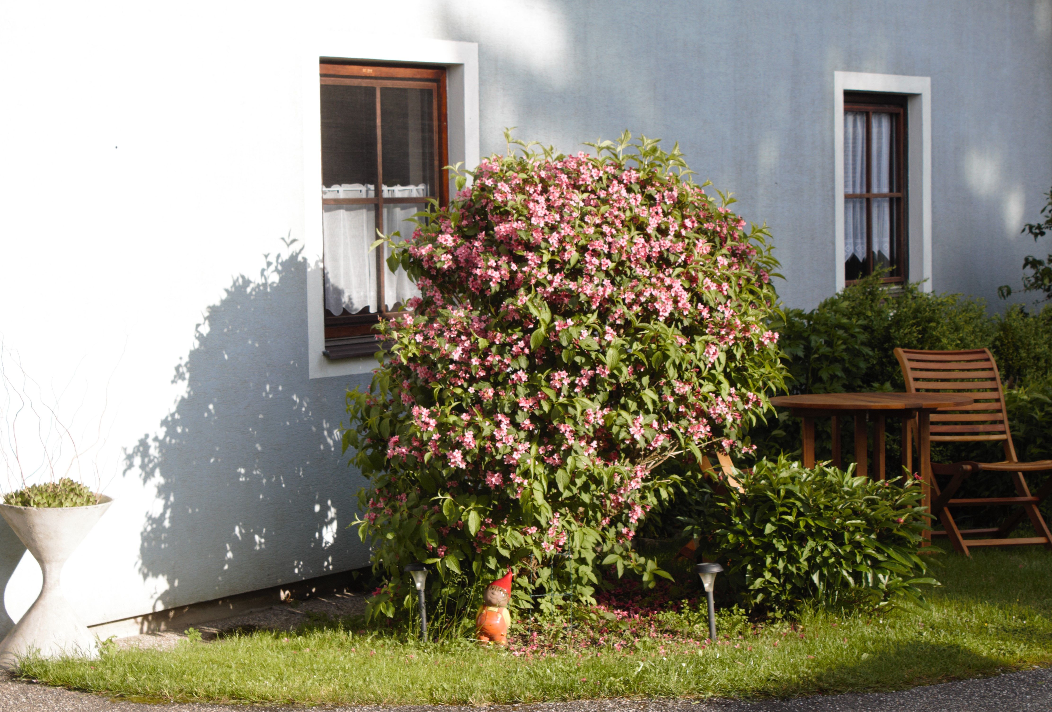 Sitzplatz vorne