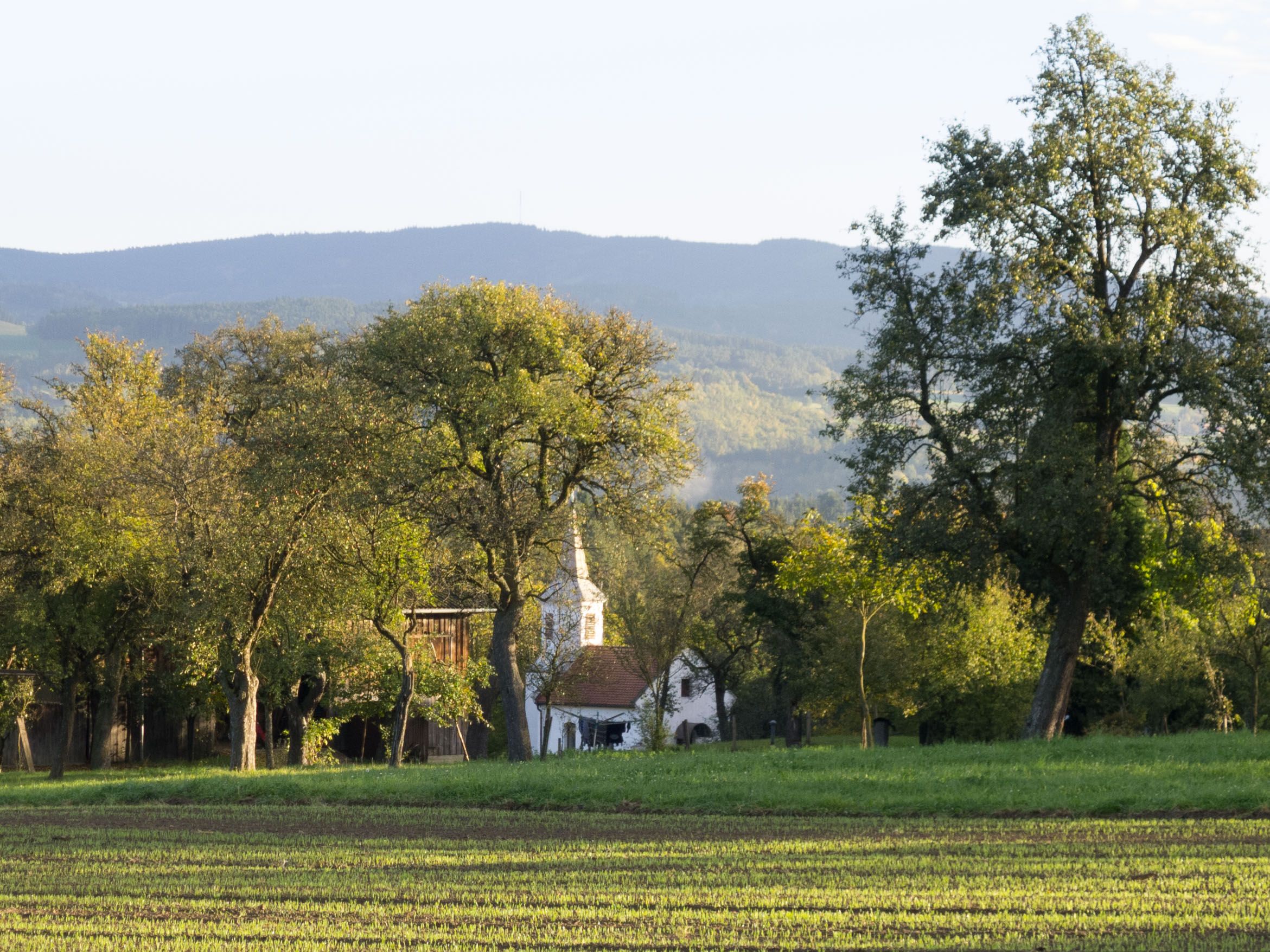 Kapelle Aichau umgeben von Bäumen