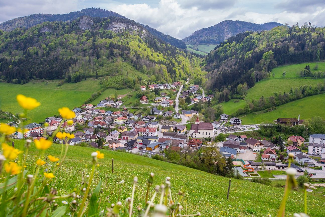 Blick auf Frankenfels