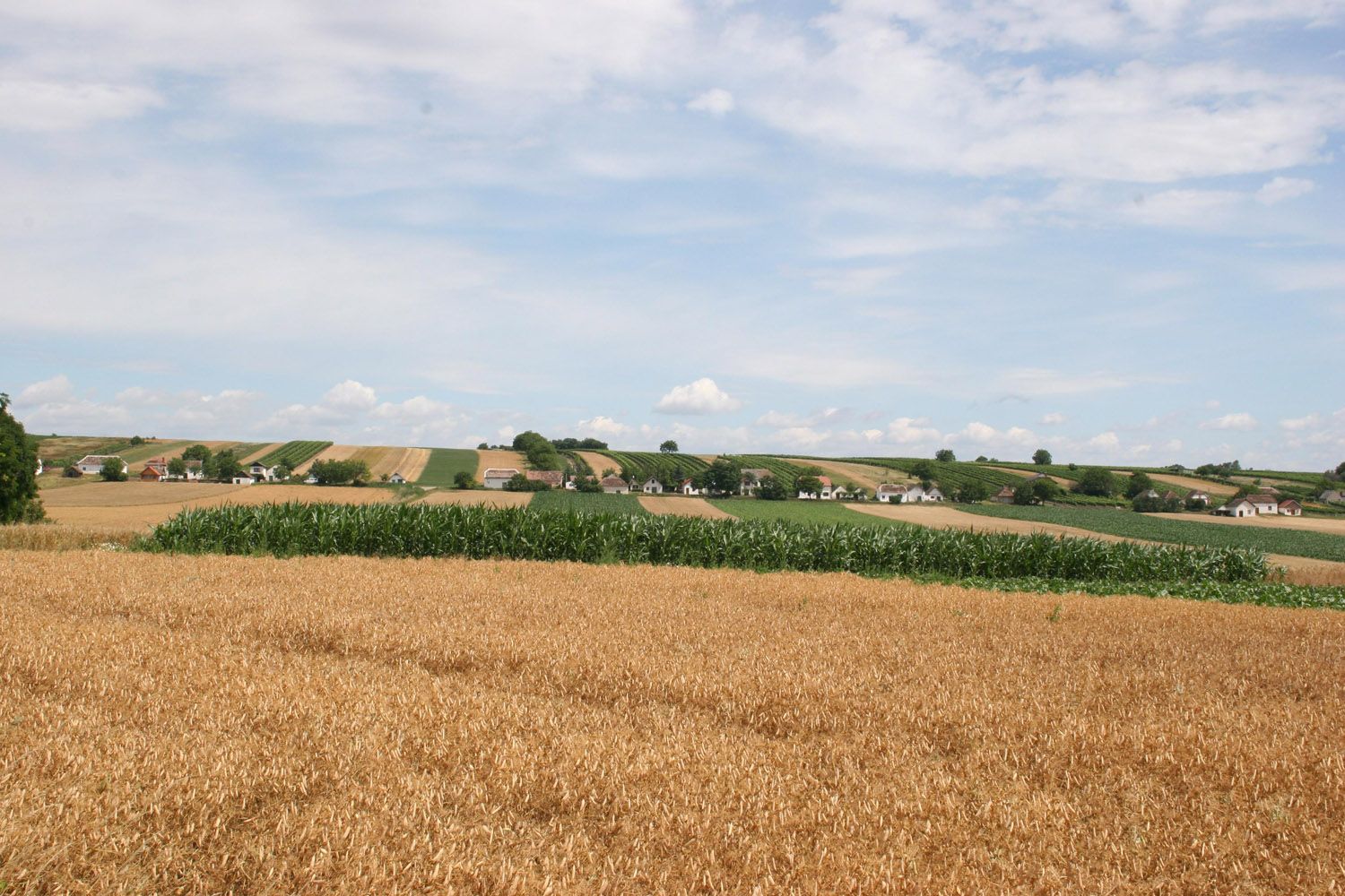 Landschaft mit Feldern und kleinen Häusern am Horizont unter blauem Himmel.