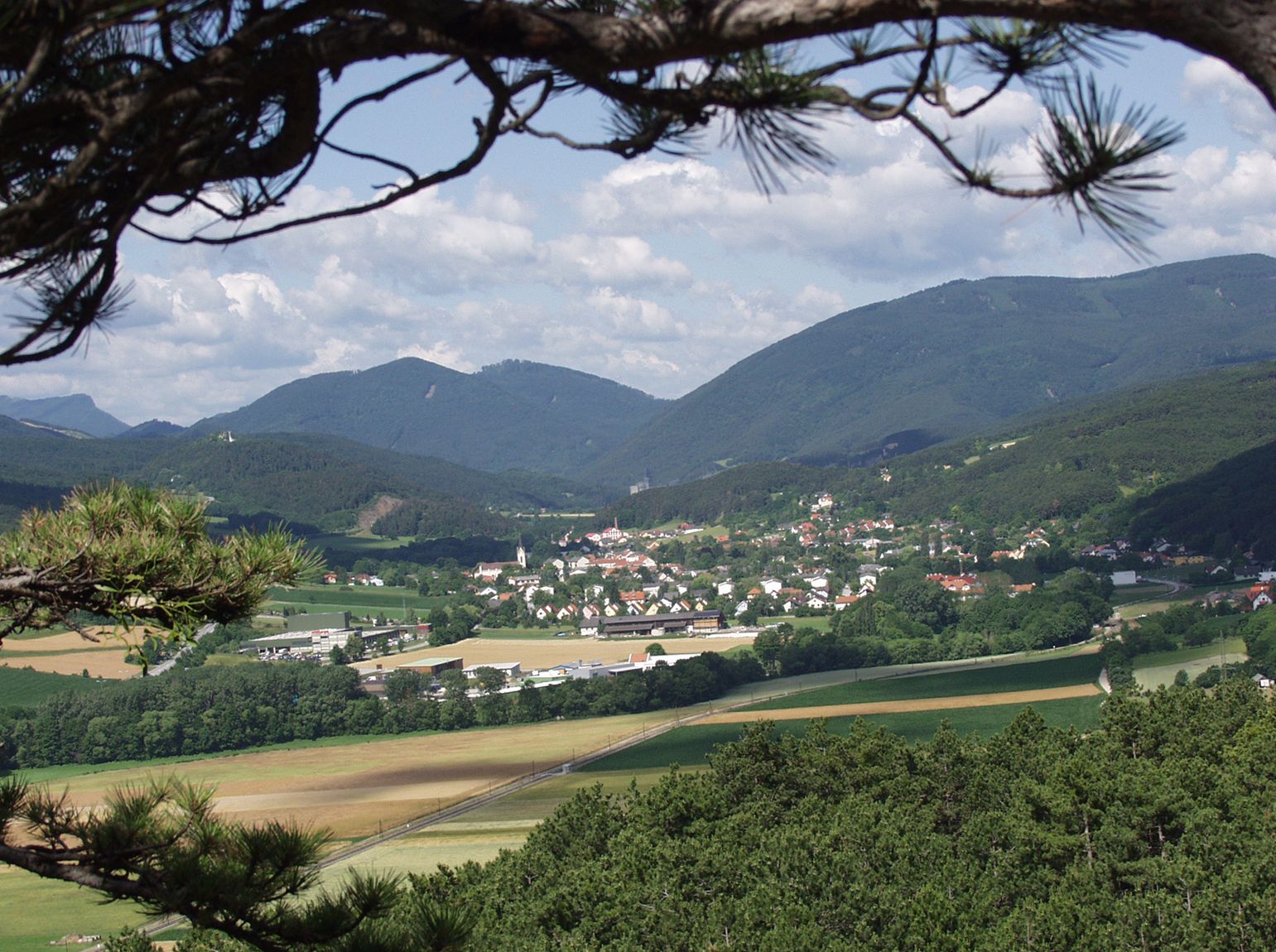 Blick auf Markt Piesting mit umliegenden Feldern und Bergen im Hintergrund.