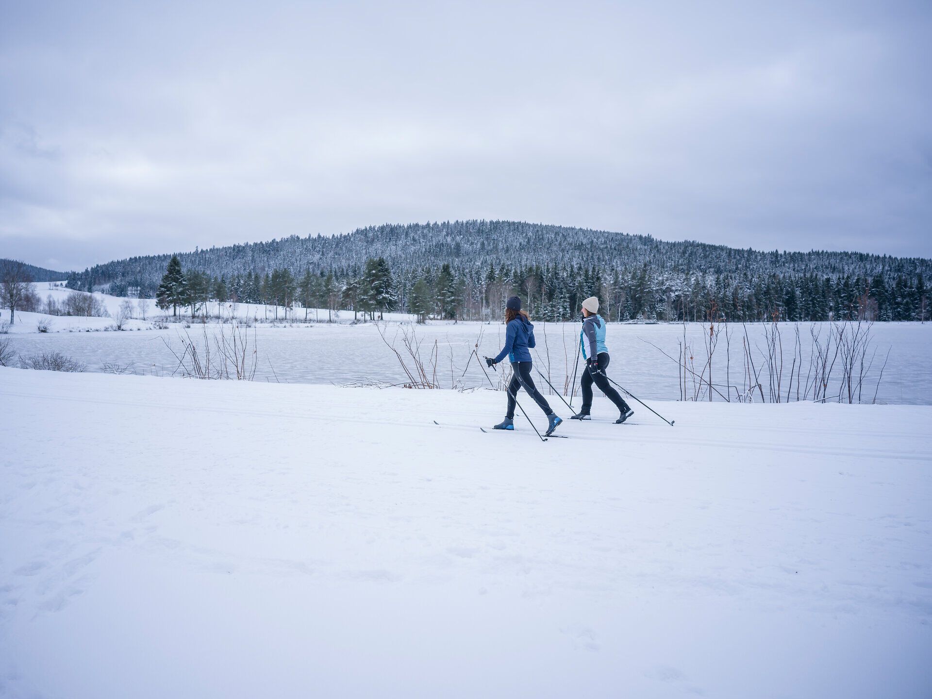 Die sanften Hügel des Winters laden zu einer erfrischenden Langlauftour ein. Umgeben von schneebedeckten Bäumen und der ruhigen Wasseroberfläche des Frauenwieserteichs, genießen die Sportler die klare, kalte Luft und die friedliche Stille der winterlichen Landschaft.