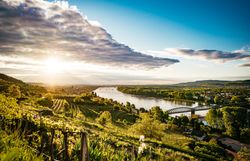 Die sanften Hügel der Wachau sind mit üppigen Weinreben bedeckt, die im warmen Licht der Abendsonne leuchten. Die Donau schlängelt sich majestätisch durch die Landschaft und bietet atemberaubende Ausblicke, die zum Verweilen einladen. Hier, wo Natur und Kultur harmonisch verschmelzen, wird jeder Moment zu einem unvergesslichen Erlebnis.