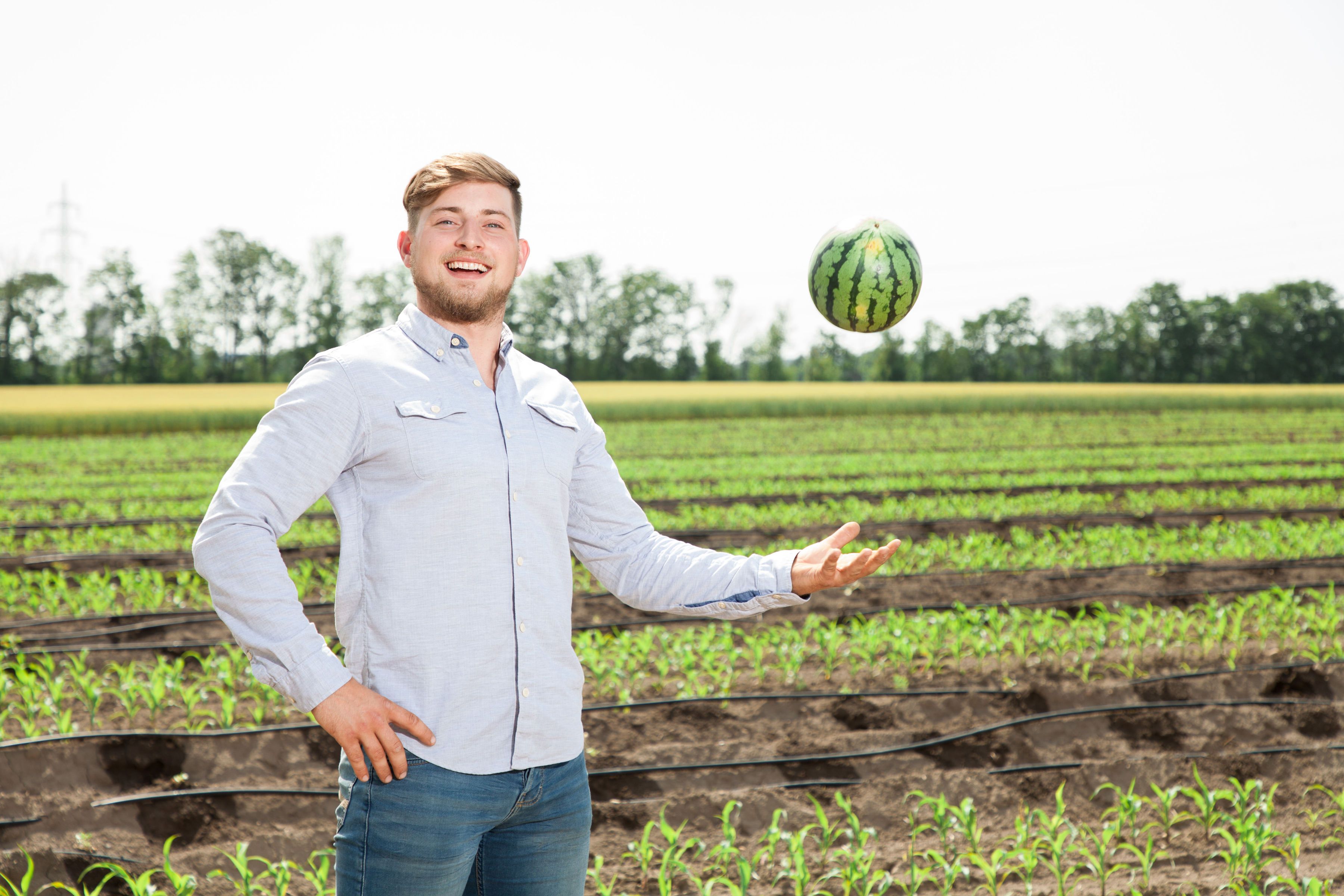 Lukas Windholz, Brucker Melonen 