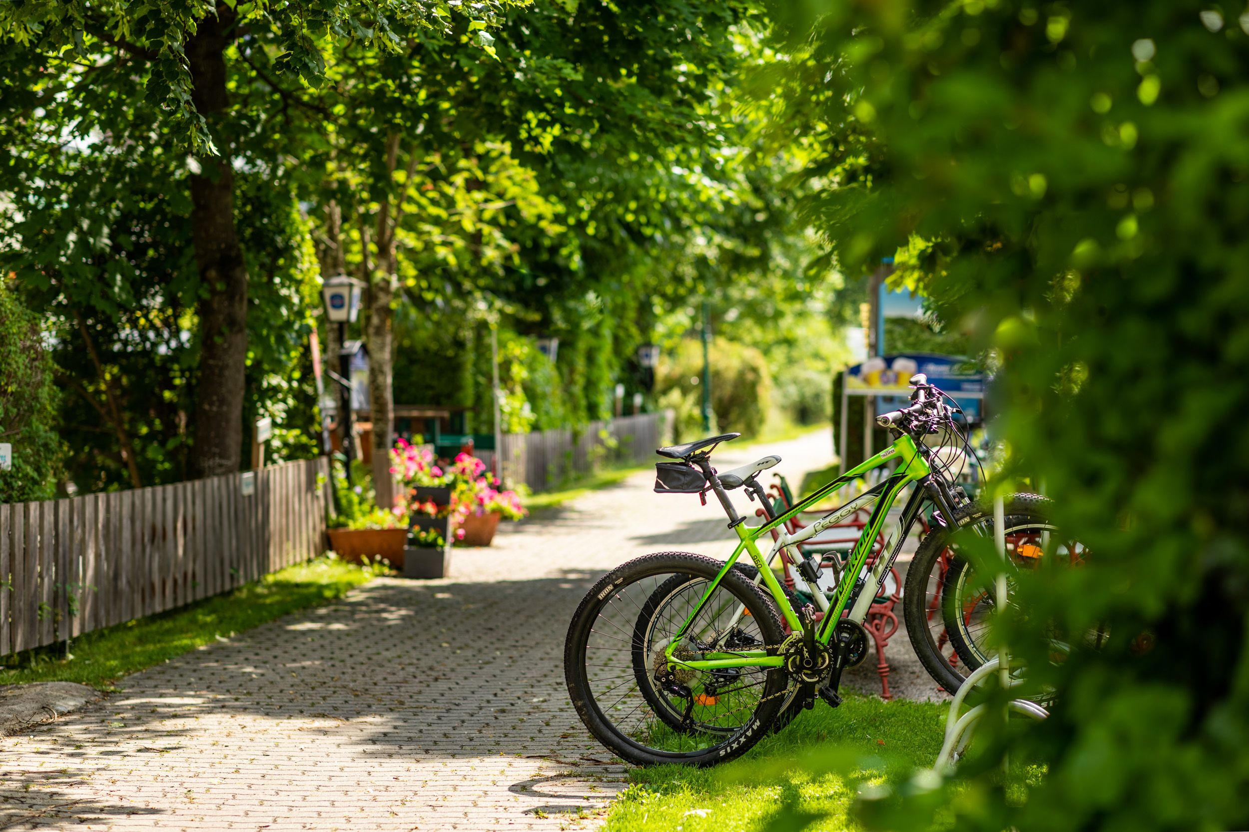 Fahrräder geparkt auf einem Radparkplatz bei einem Gasthof, umgeben von grünen Bäumen und Blumen.