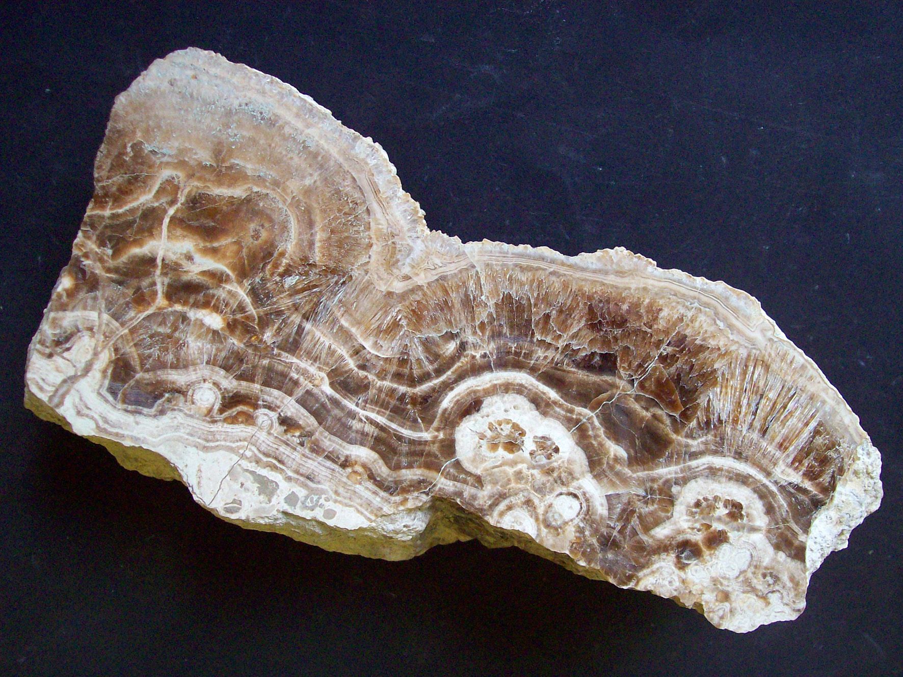 Nahaufnahme eines Aragonit-Minerals mit braunen und weißen Schichten.