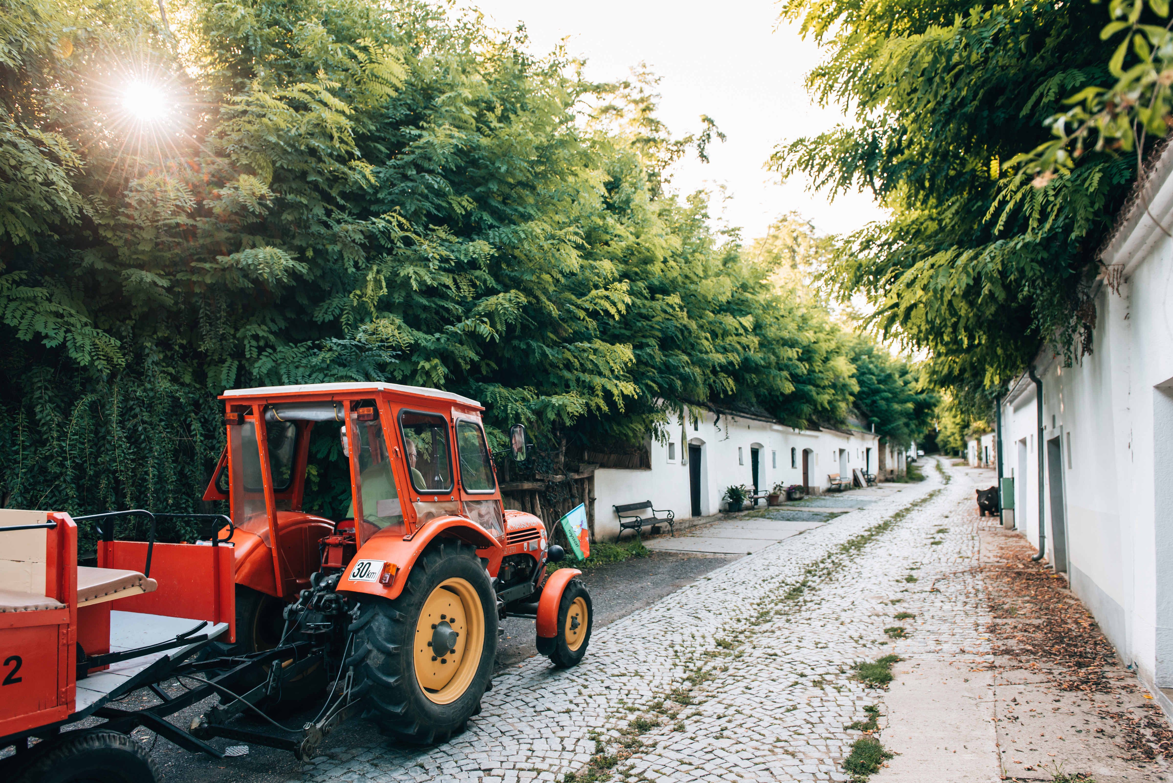 Ein roter Traktor steht auf einem gepflasterten Weg, umgeben von grünen Bäumen und weißen Gebäuden.