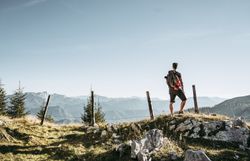 Die sanften Hügel der Ybbstaler Alpen erstrecken sich majestätisch im Hintergrund, während ein Wanderer inmitten der Natur verweilt. Die klare Luft und die atemberaubende Aussicht laden dazu ein, die Seele baumeln zu lassen und die Schönheit der Berglandschaft zu genießen.