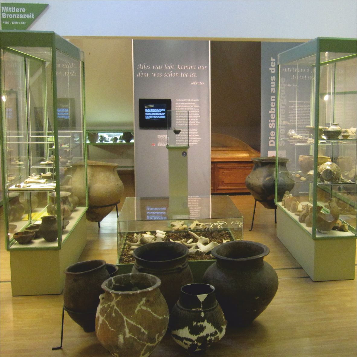 Museumsausstellung mit antiken Tongefäßen und Vitrinen.