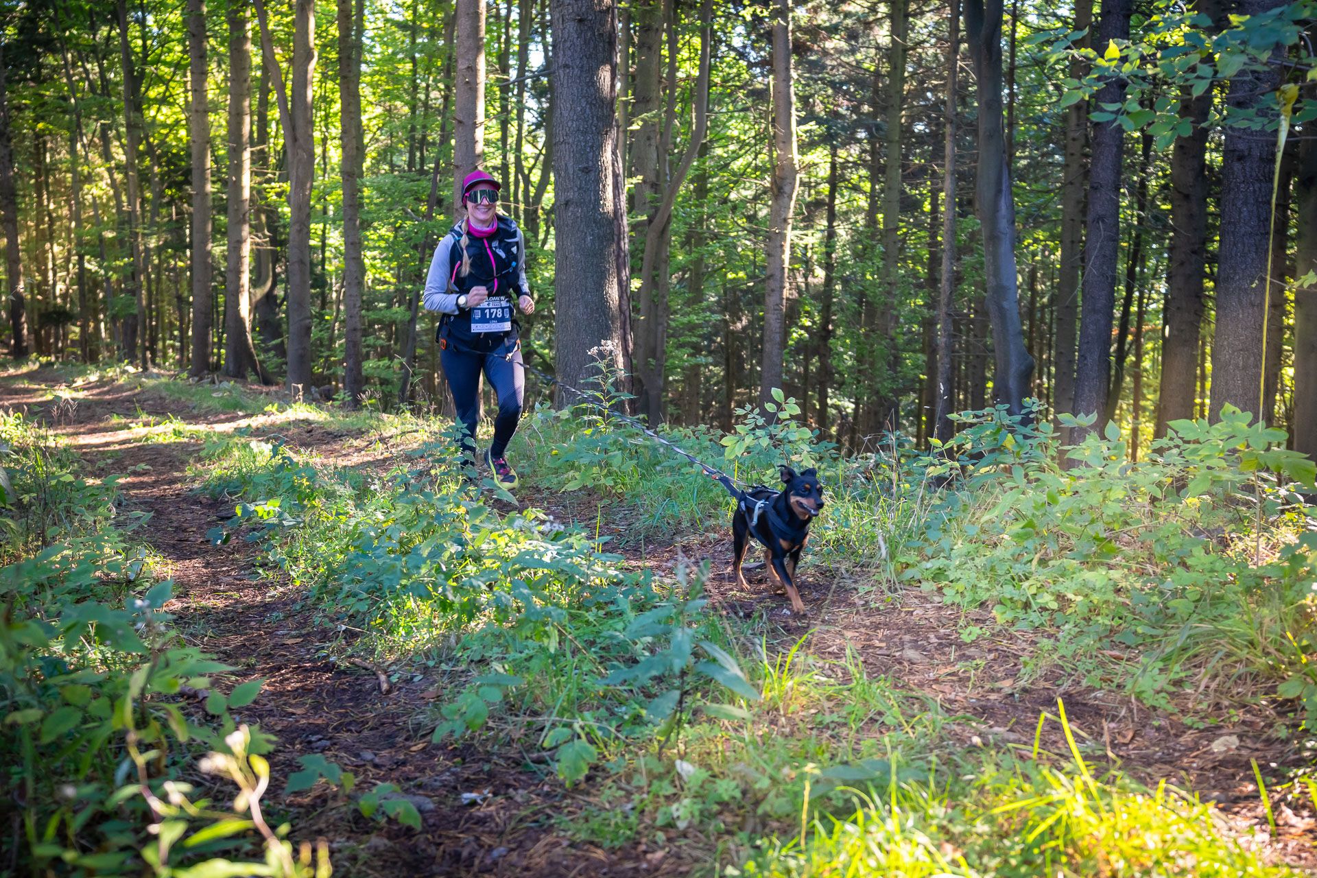 Wachau Trail