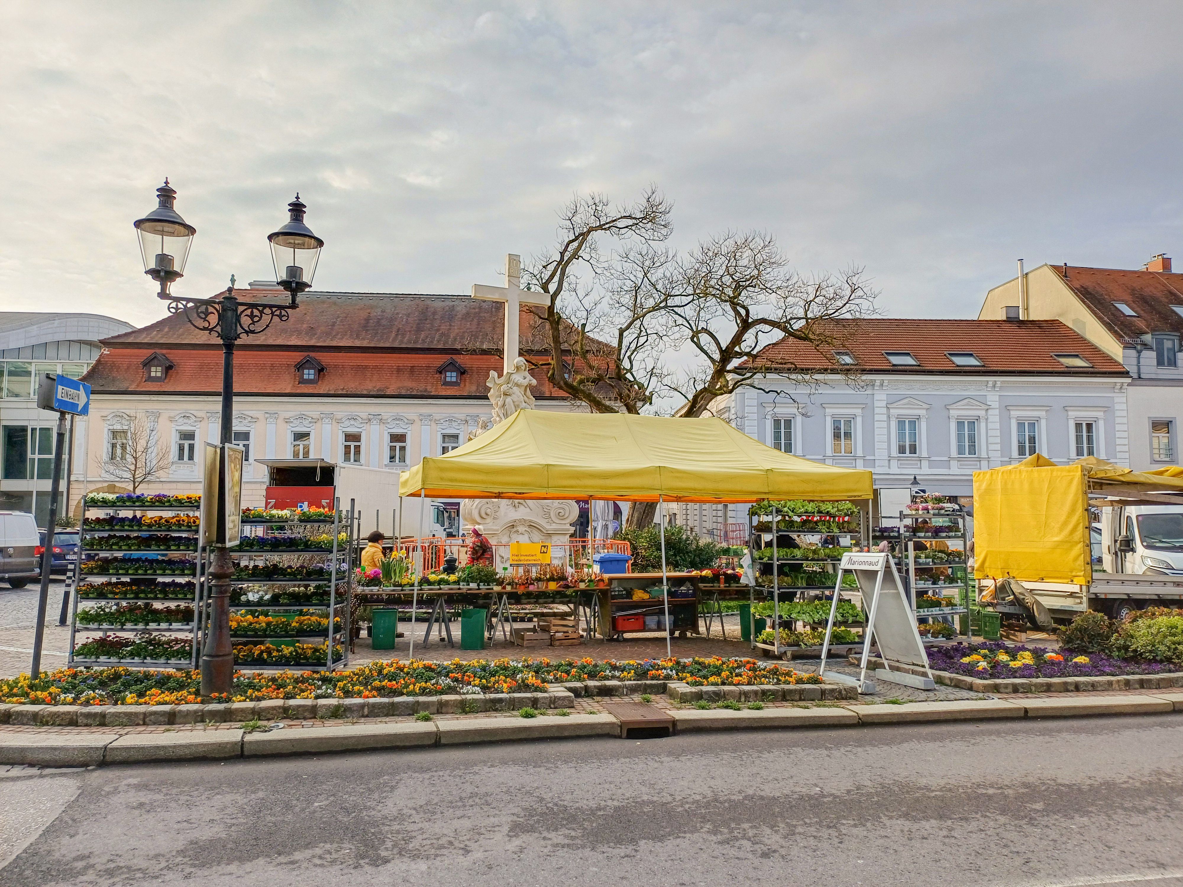 Wochenmarkt in Stockerau mit gelbem Zelt und Blumenständen.