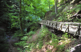 Hagenbachklamm im Eichenhain, © Naturparke Niederösterreich/Robert Herbst