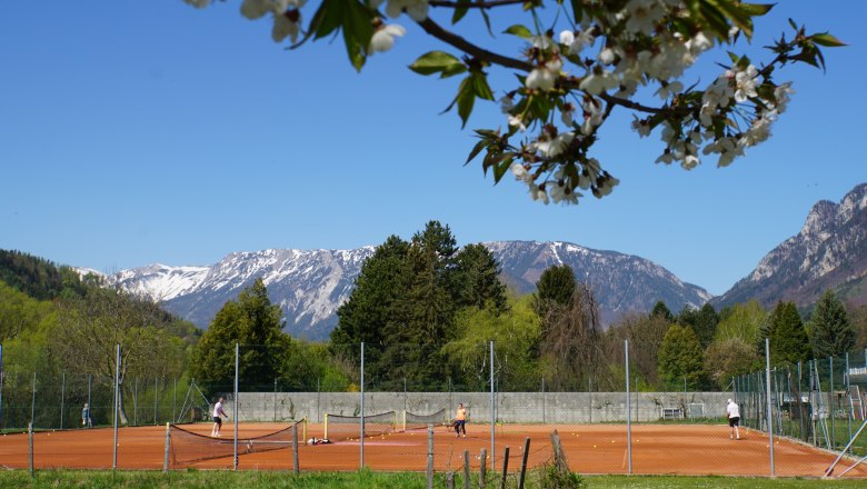 Tennisplatz mit Spielern vor einer Bergkulisse und bl&uuml;henden B&auml;umen im Vordergrund.