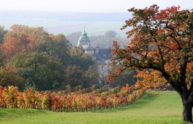 Katzelsdorf Kloster, &copy; Wiener Alpen in Nieder&ouml;sterreich