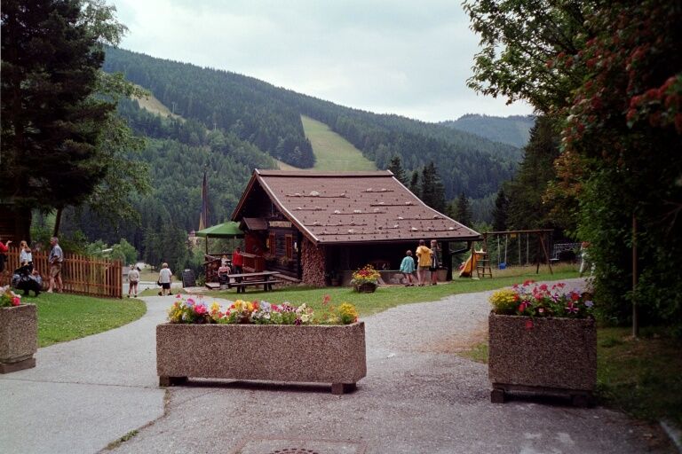 Eine Berghütte in einer grünen, bewaldeten Landschaft mit Blumen im Vordergrund.