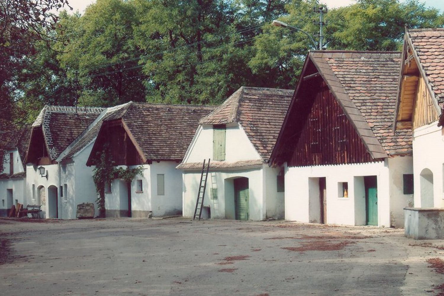 Traditionelle Weinkeller mit weißen Fassaden und Ziegeldächern an einem ruhigen Platz.