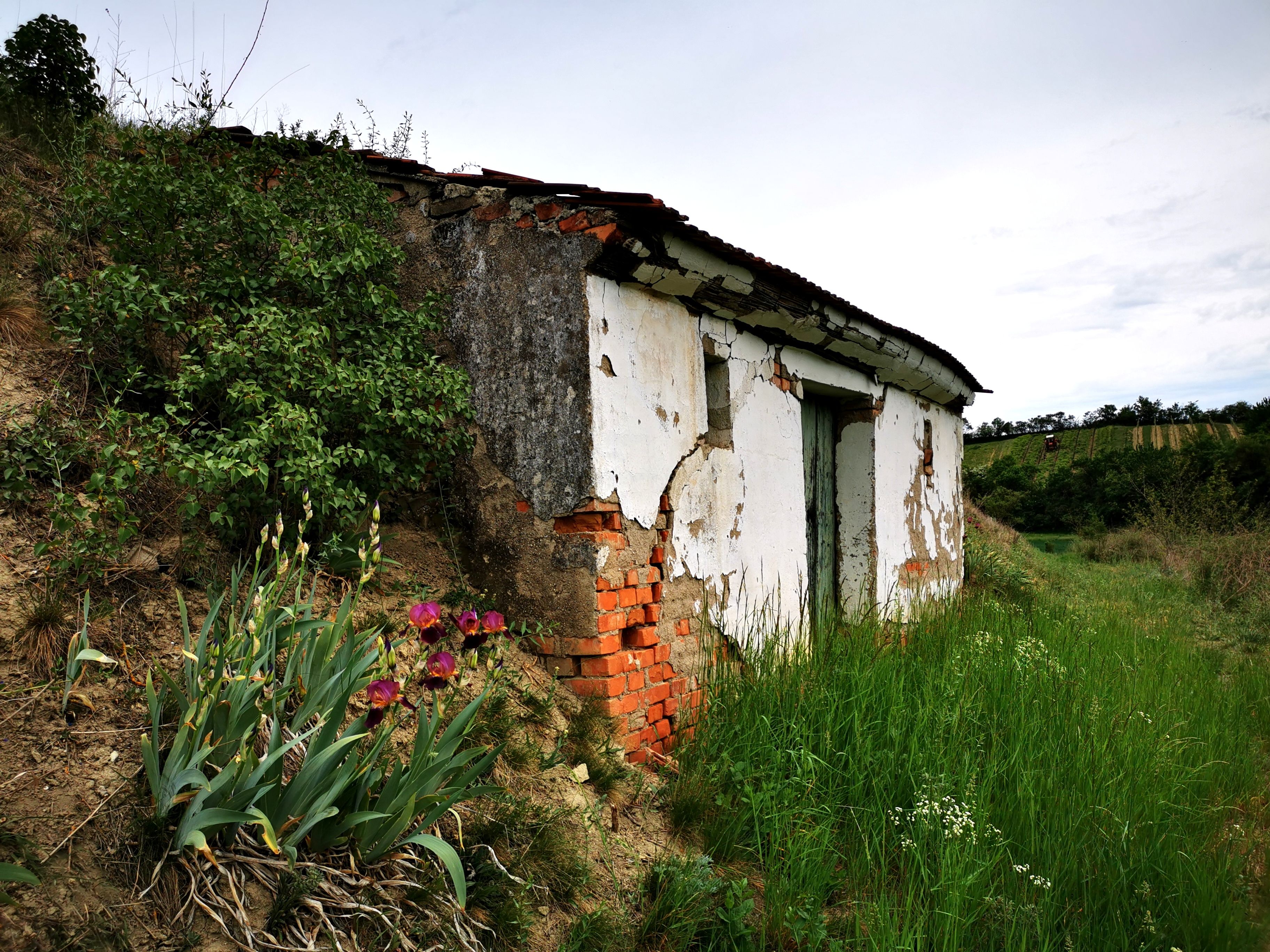 Altes Gebäude mit bröckelnder Fassade in ländlicher Umgebung, umgeben von Gras und Blumen.