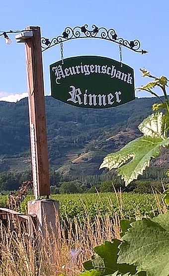 Heuriger Rinner