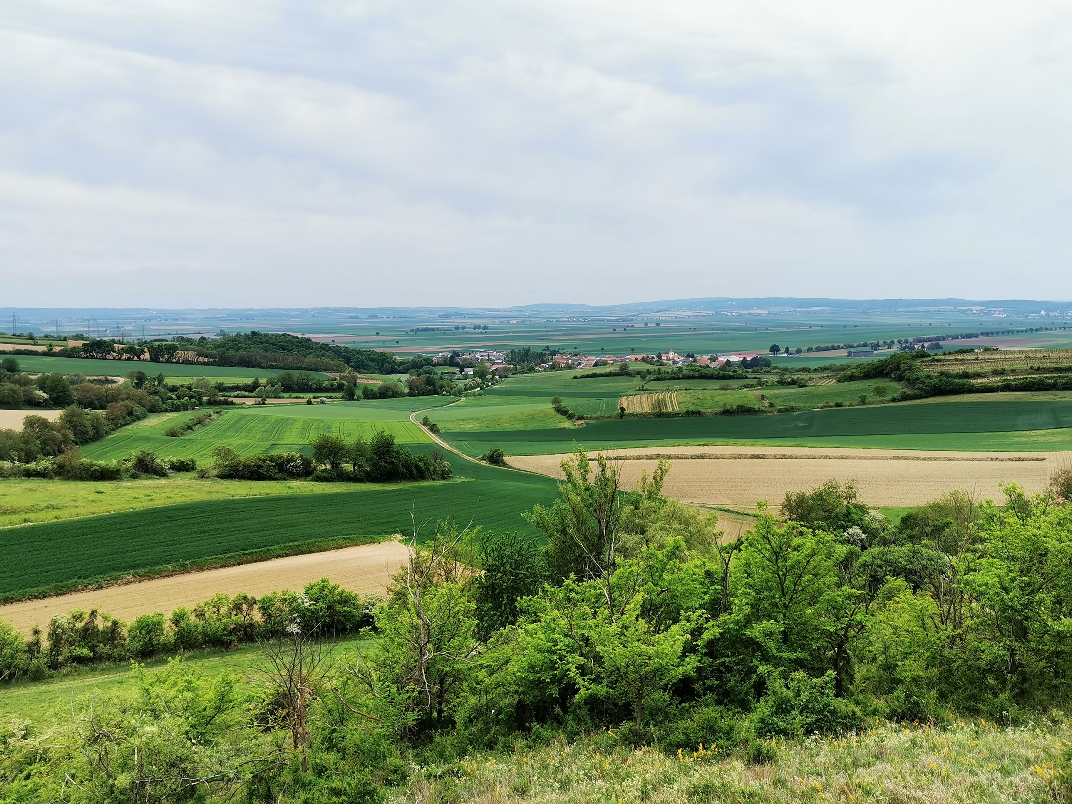 Landschaft im Weinviertel mit Feldern und Hügeln.