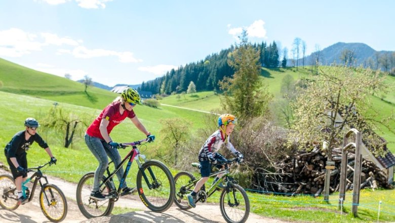 Bikepark K&ouml;nigsberg, &copy; Wolfgang Wutzl